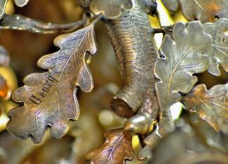 Tuvplāns ar metāla ozollapu skulptūru, kuras lapās iegravēti vārdi un detaļas atgādina dabas faktūru.